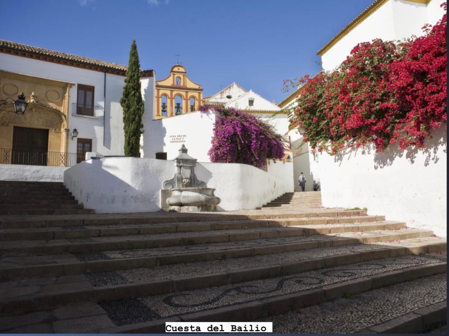 Centro- Apartamento Azonaicas Córdoba Exteriér fotografie