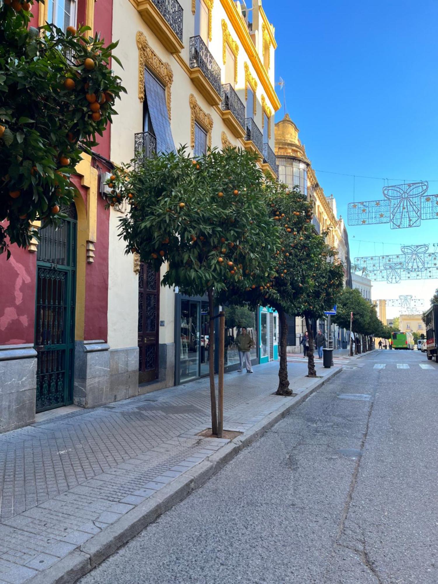 Centro- Apartamento Azonaicas Córdoba Exteriér fotografie